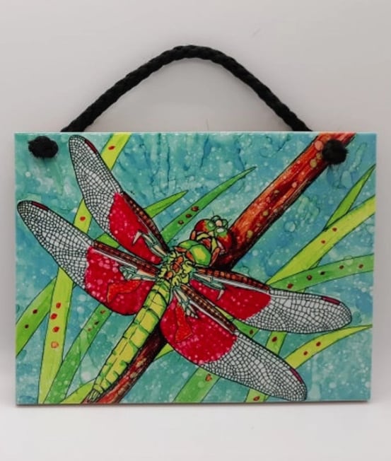 Ceramic Tile (Various Designs) - $16